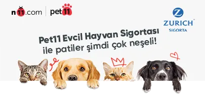 pet11 evcil hayvan sigortası nedir